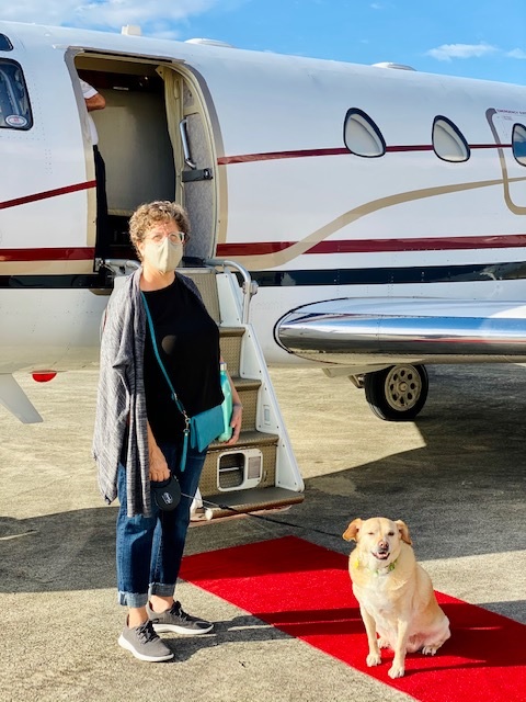 Relocating with a Dog on Private Jet